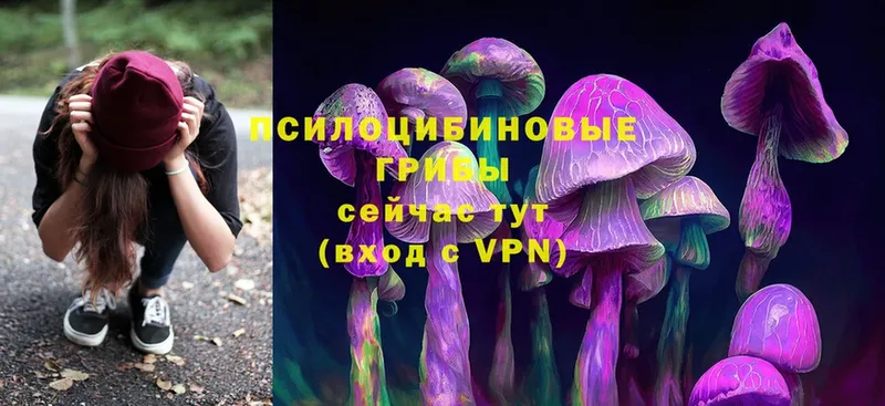 купить закладку  Волгореченск  Галлюциногенные грибы MAGIC MUSHROOMS 